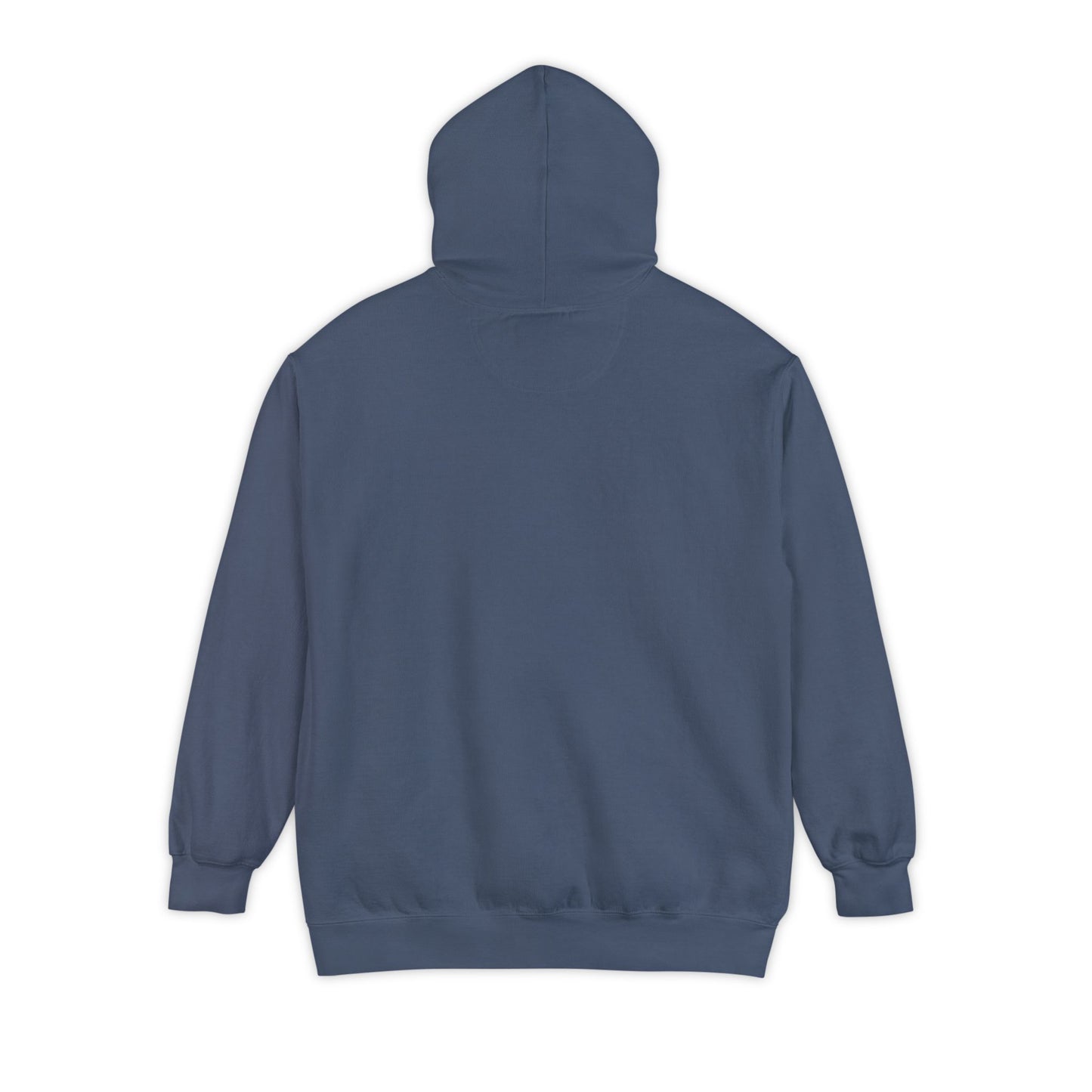 Take Me Home WV Hoodie