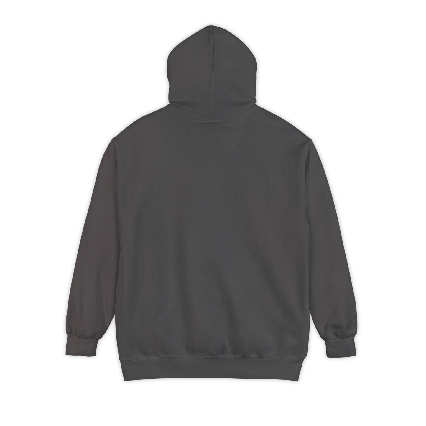 Take Me Home WV Hoodie