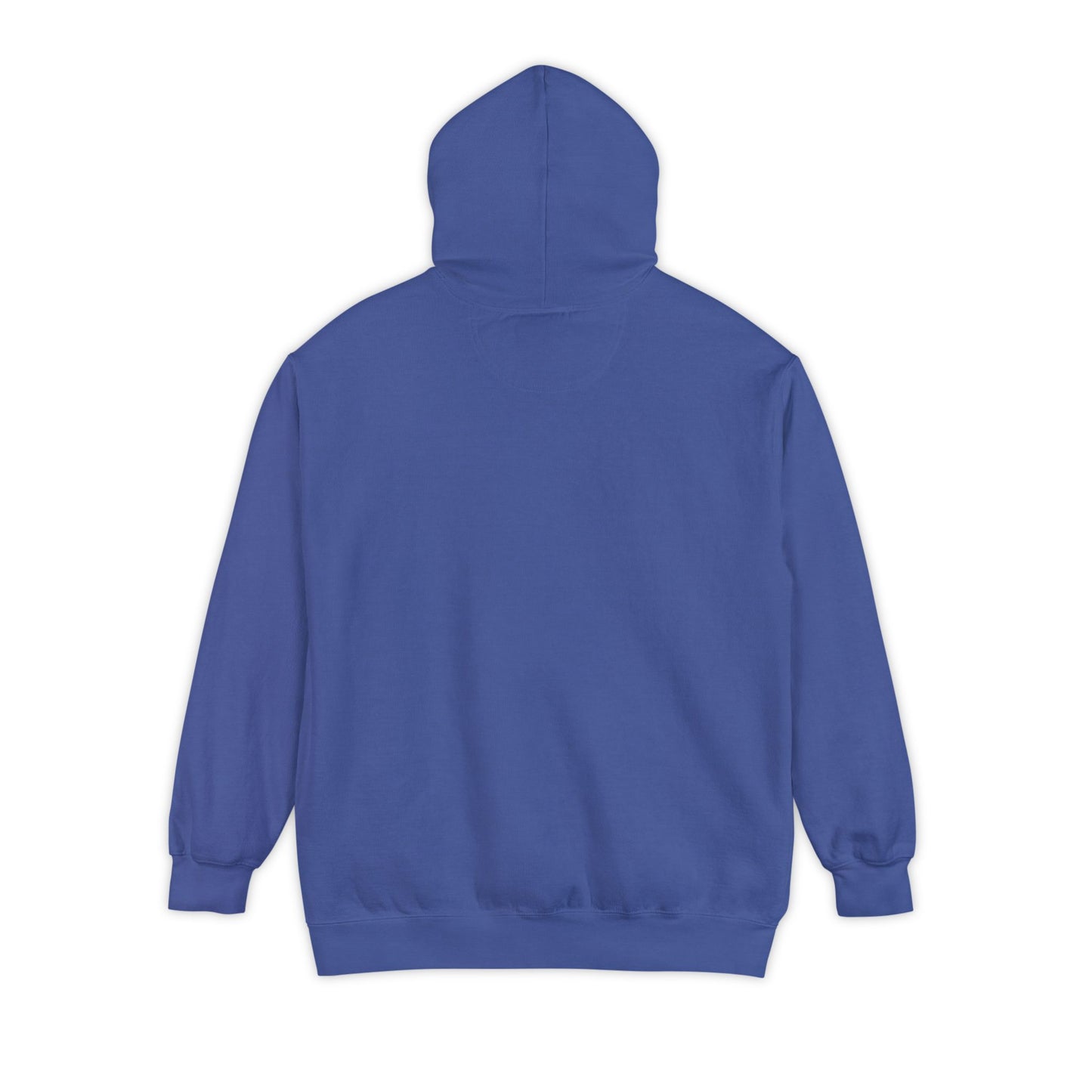 Take Me Home WV Hoodie
