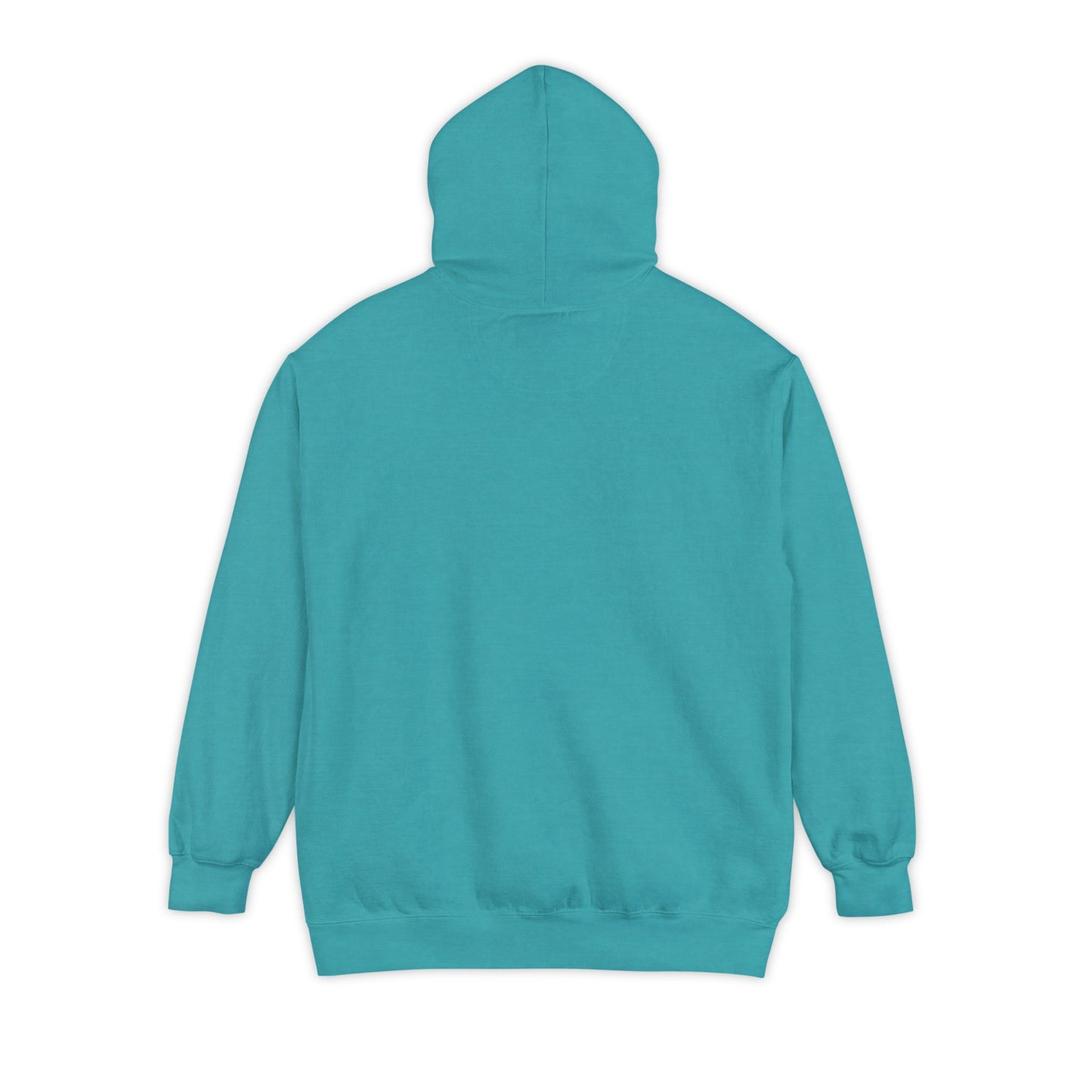 Take Me Home WV Hoodie