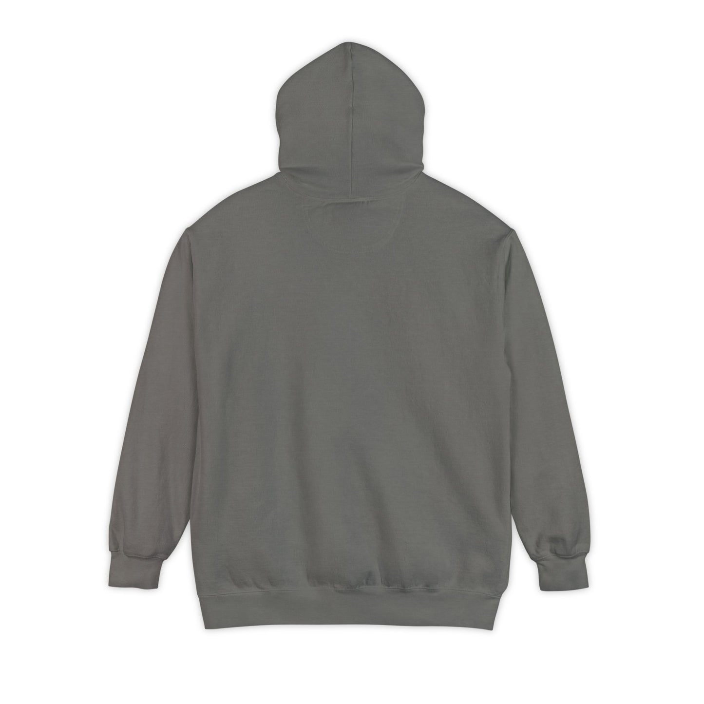 Take Me Home WV Hoodie