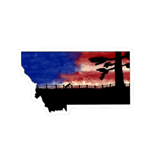 USA Montana sticker decal